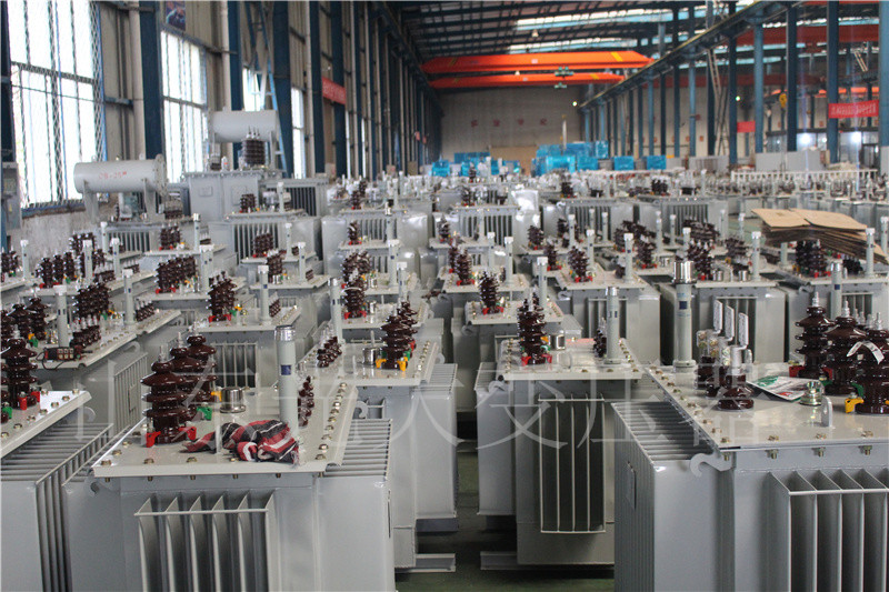 云阳S22-800KVA/10KV